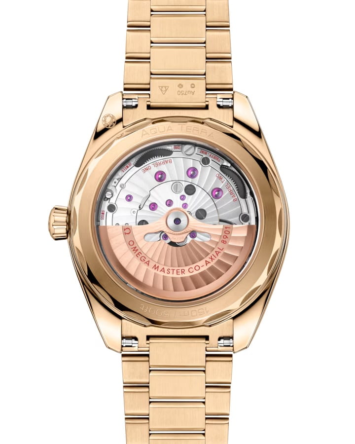 Omega Omega Seamaster Aqua Terra 220.50.41.21.10.001 Aqua Terra, наручные мужские часы фото под углом