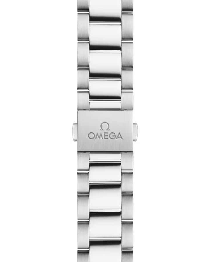 Omega Omega Seamaster Aqua Terra 220.10.34.20.03.001, seamaster швейцария женские часы на браслете нержавеющая сталь боковой вид