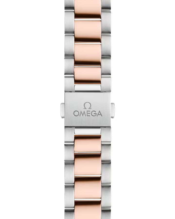 Omega Omega Seamaster Aqua Terra 220.20.34.20.60.001, seamaster швейцария женские часы на браслете нержавеющая сталь + золото 18к боковой вид