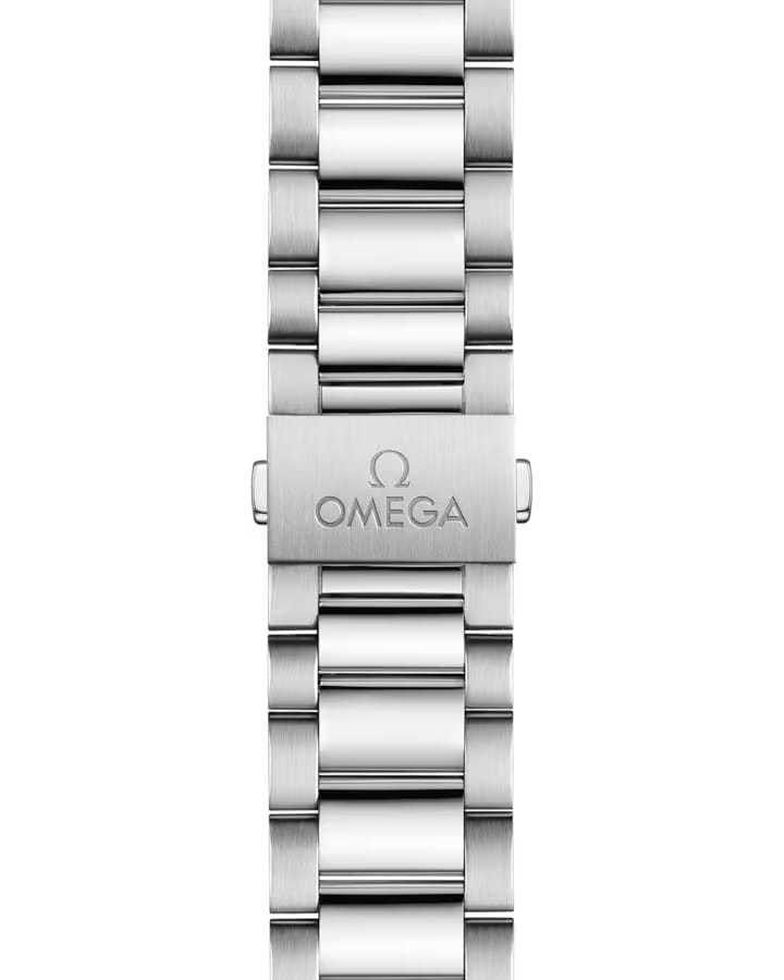 Omega Omega Seamaster Aqua Terra 220.10.38.20.02.002, seamaster швейцария мужские часы на браслете нержавеющая сталь боковой вид