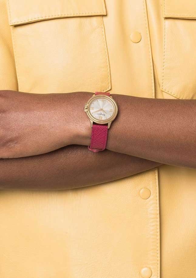 Оригинальные часы Salvatore Ferragamo Salvatore Ferragamo Studmania SFMJ00222 кварцевые калибр механизма  общий вид