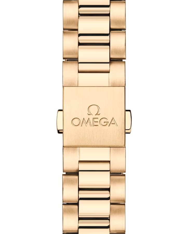 Omega Omega Seamaster Aqua Terra 220.50.41.21.10.001 мужские часы зеленый циферблат на запястье