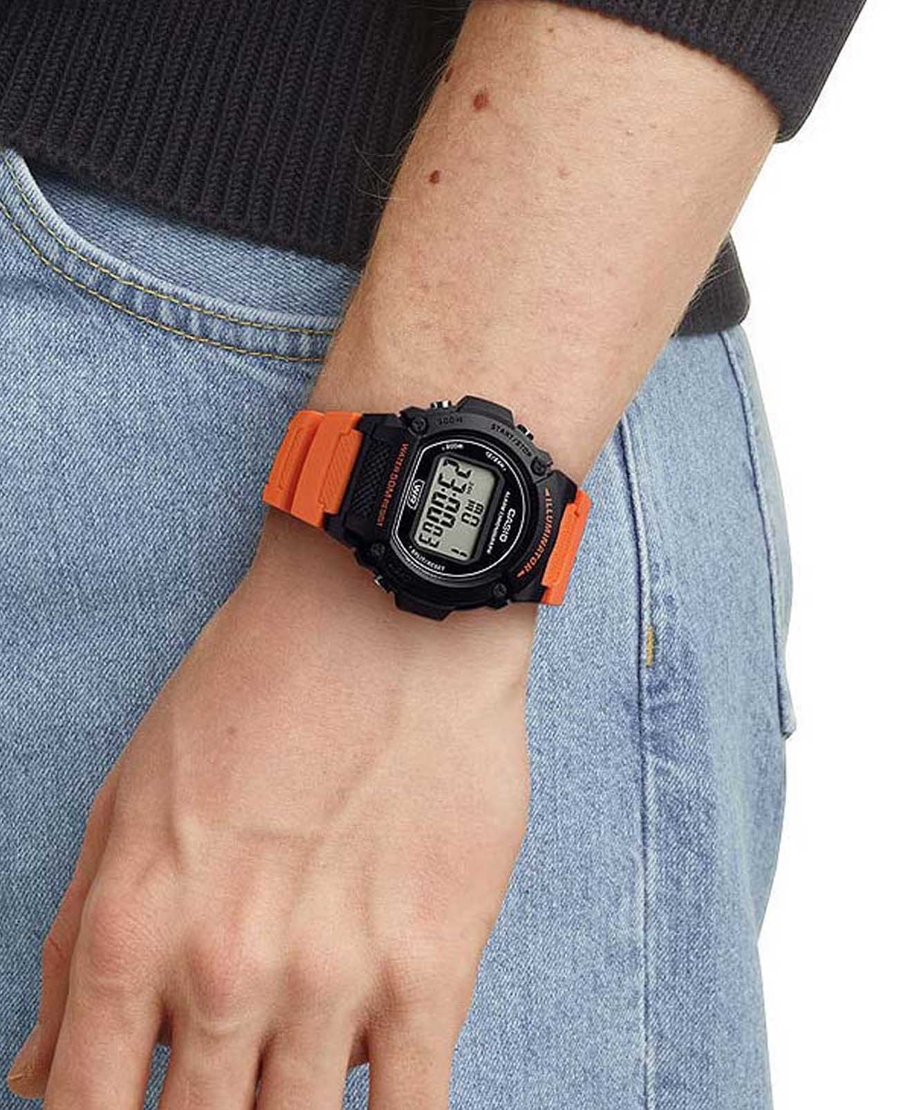 Casio Casio Collection W-219H-4AVEF , наручные мужские часы фото под углом