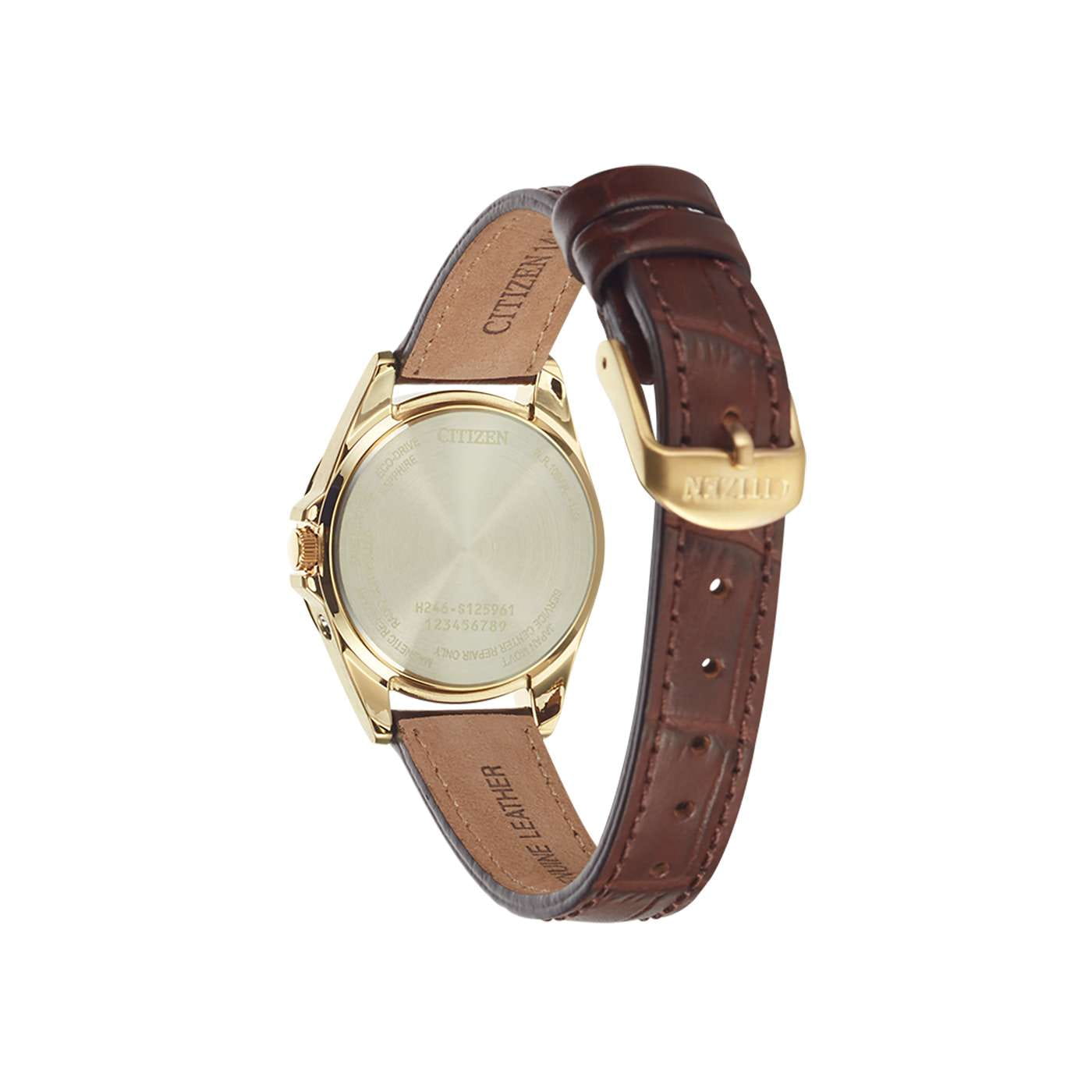 Citizen Citizen Eco-Drive EC1183-16A, eco-drive япония женские часы на браслете кожаный боковой вид