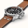 Hamilton H77755533