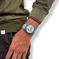 Swatch SO29Z108