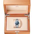 Omega 13030392103001