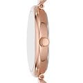 Fossil ES5273