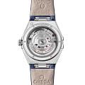 Omega 13118292060001