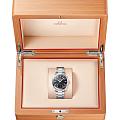Omega 22010382001001