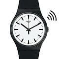 Swatch SVIB105-5300