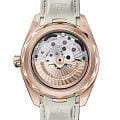 Omega 22052412102001