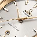 Omega 22020382002002