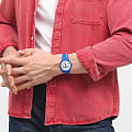 Swatch SO29Z704