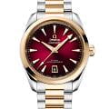 Omega 22020382010002