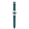 Swatch SO29Z119