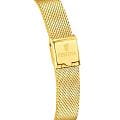 Festina F20077/3