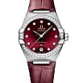 Omega 13118362061001