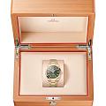 Omega 22050412110001