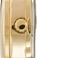Casio LTP-V002G-1B
