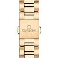 Omega 22050412110001