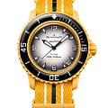 Swatch SO35P100C