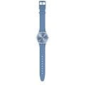 Swatch SS08N100-S14