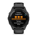 Garmin 010-02810-10