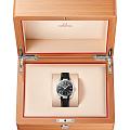 Omega 22012382001001