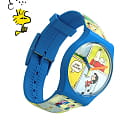 Swatch SO29Z108
