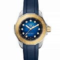 TAG Heuer WBP2450.FT6215